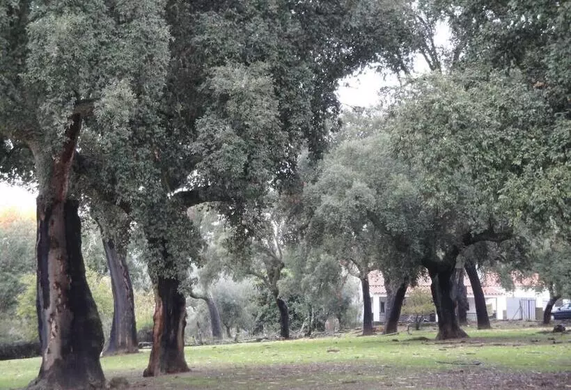 Hotelli Casa Rural Sierra San Mamede