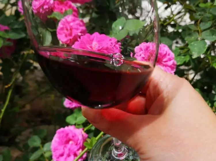 Maaseutuhotelli Casa Rural El Llano Quintanilla