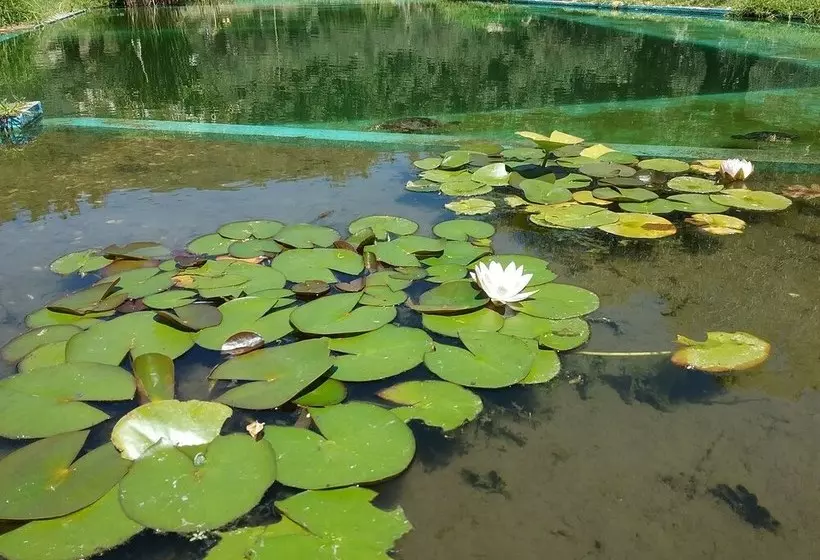 Hotelli Rural El Joyo