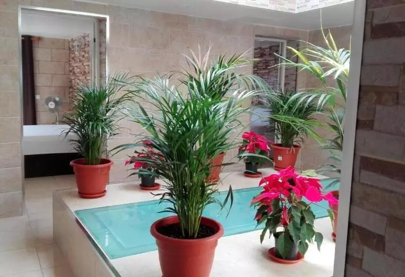 Majatalo Hostel Poseidon   Hm