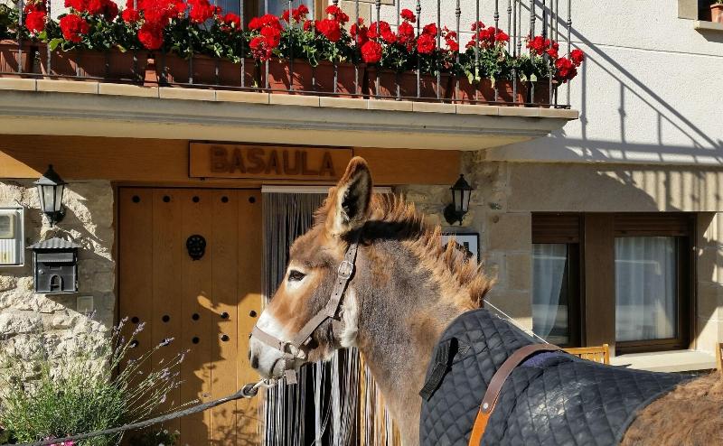 Casa Rural Basaula