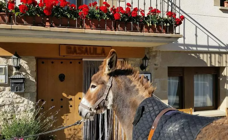 Casa Rural Basaula