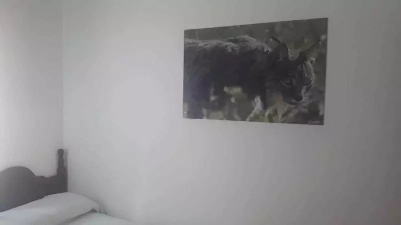 Casa Rural Los Pinos