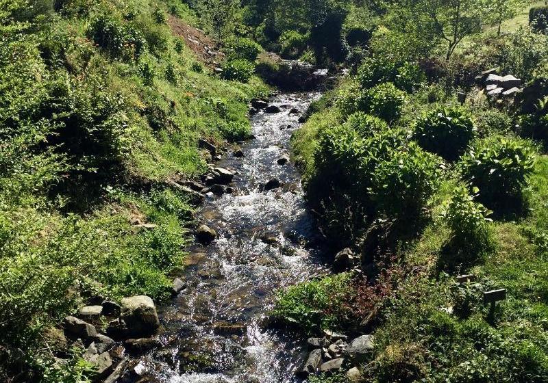 Complejo Rural Casona De Labrada