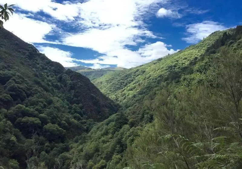Complejo Rural Casona De Labrada
