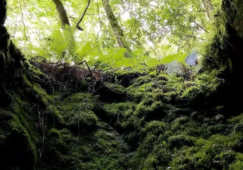 Complejo Rural Casona De Labrada