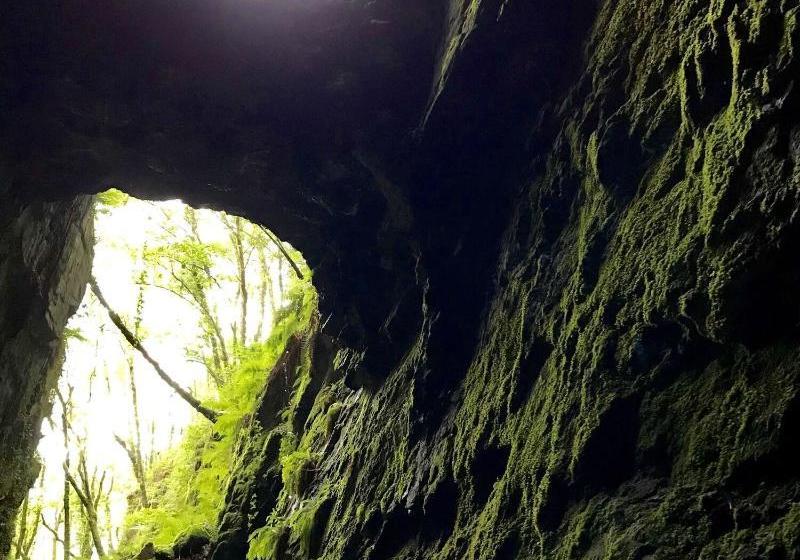 Complejo Rural Casona De Labrada