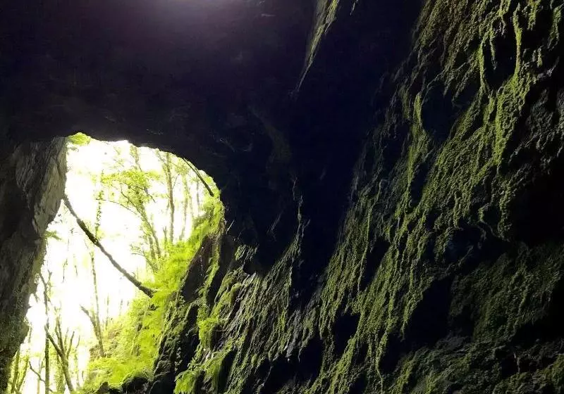 Complejo Rural Casona De Labrada