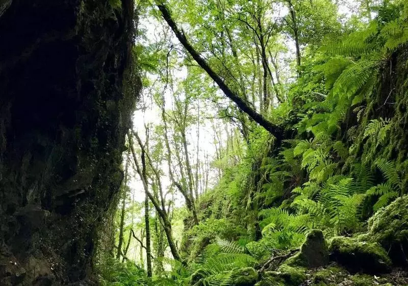 Complejo Rural Casona De Labrada