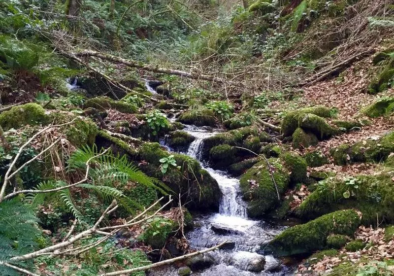 Complejo Rural Casona De Labrada