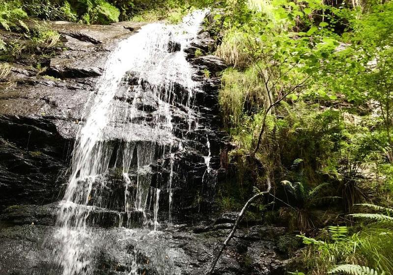 Complejo Rural Casona De Labrada
