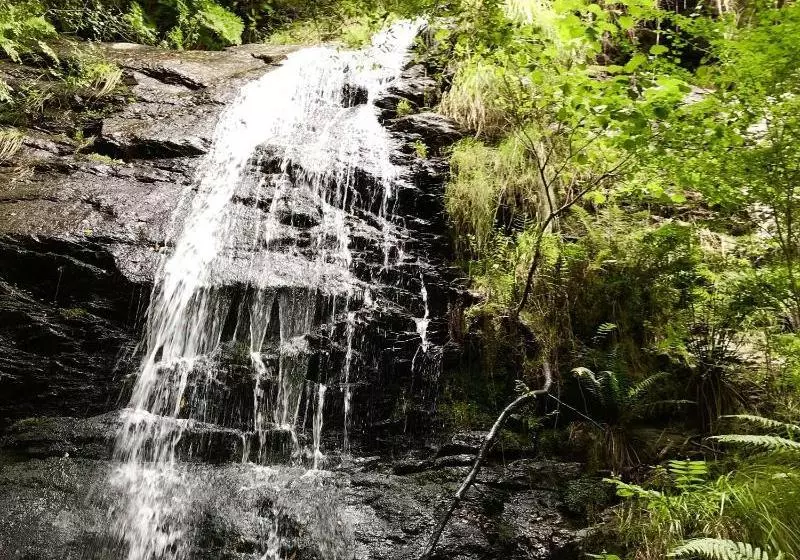 Complejo Rural Casona De Labrada