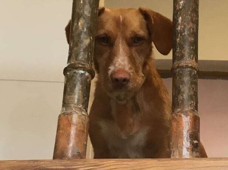 El Albergue De Sigüenza