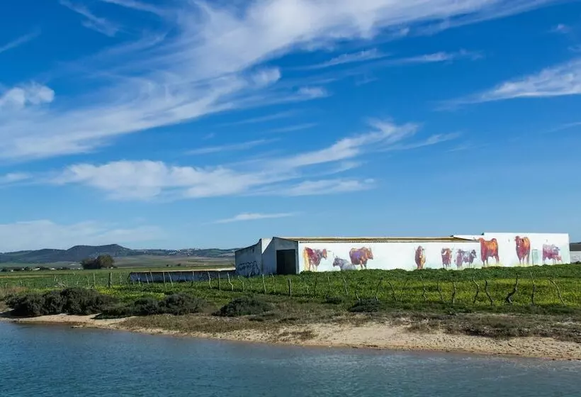 La Jabega By Conil Home