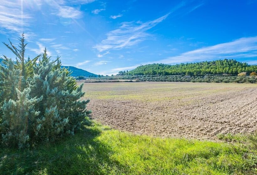 호텔 Finca Micalas