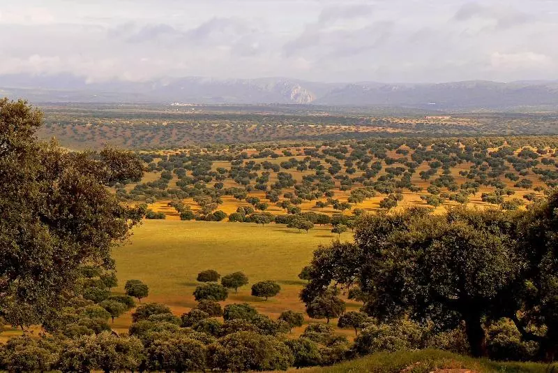 La Posada De Los Sentidos