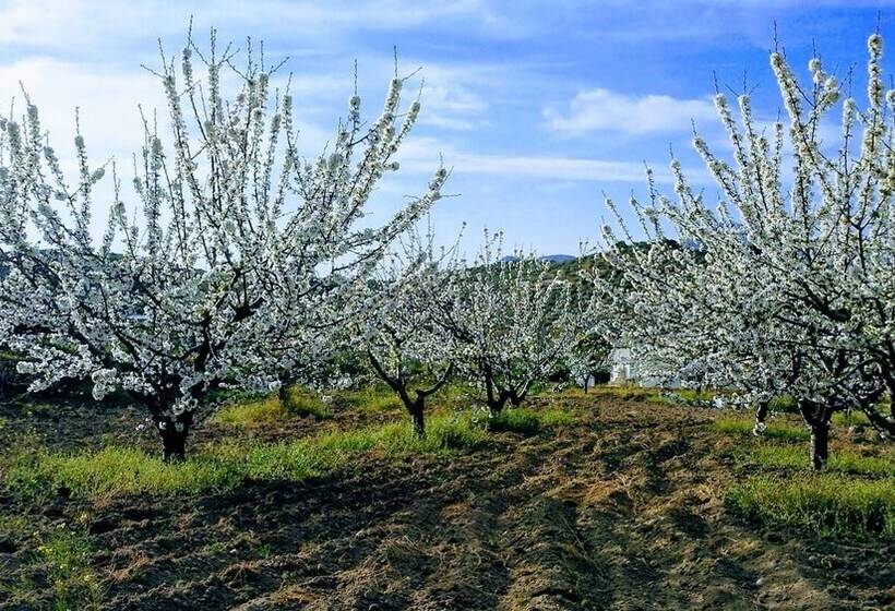 Pensão Hospederia Locubin