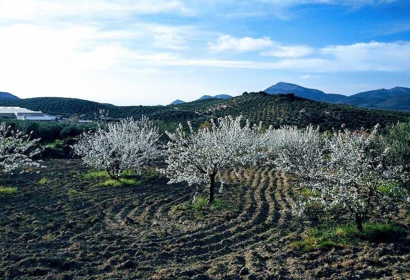 Pensão Hospederia Locubin