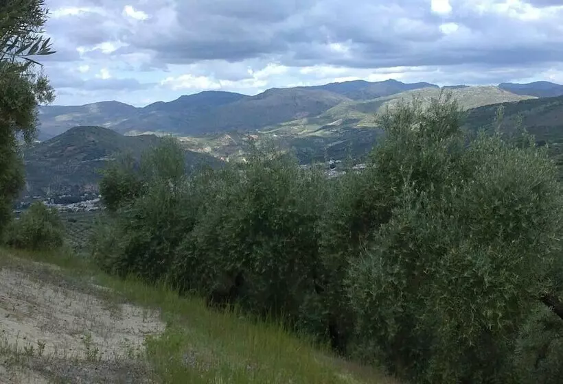پانسیون Hospederia Locubin