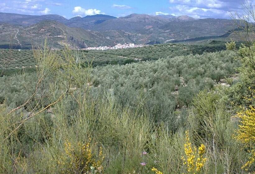 Pensão Hospederia Locubin