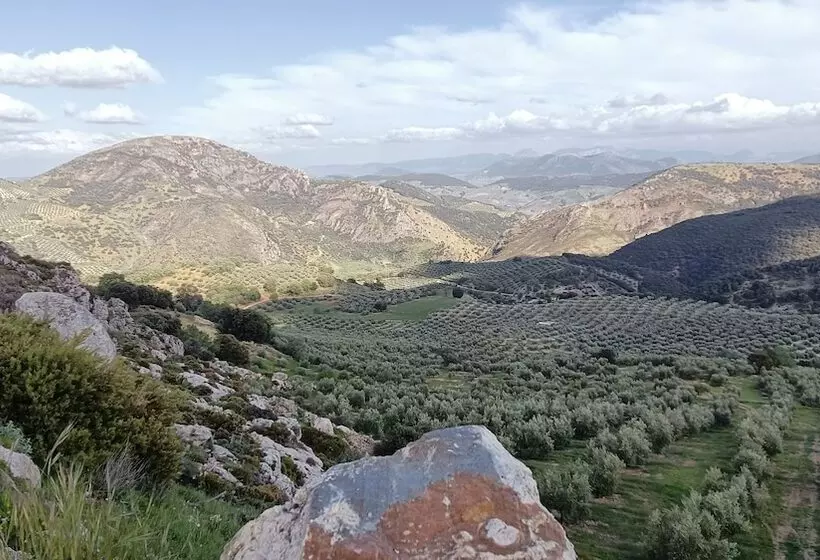 پانسیون Hospederia Locubin