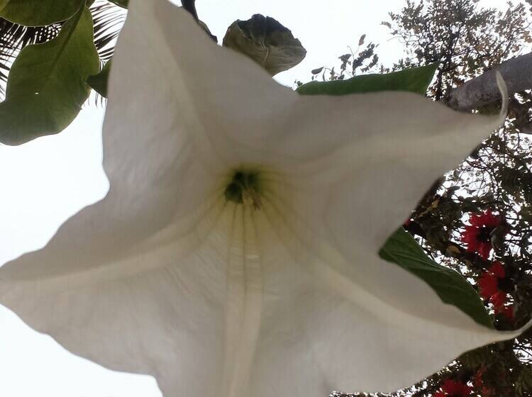 Pensão Hospederia Locubin