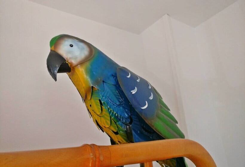 פנסיון Wonder Rooms Nerja Guest House