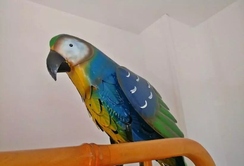 Majatalo Wonder Rooms Nerja Guest House