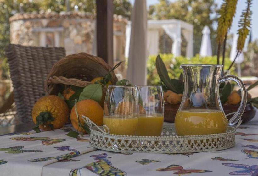 Yourhouse Es Moyà Des Pins