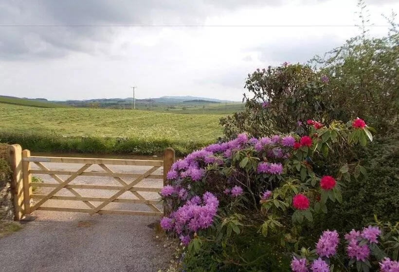 Aamiaismajoitus (B&B) Bluebell Bank