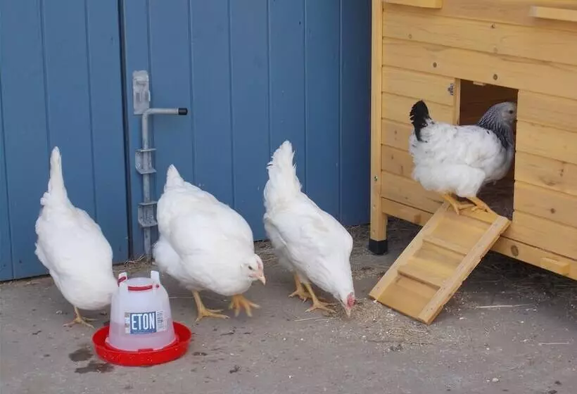 Aamiaismajoitus (B&B) Bluebell Bank