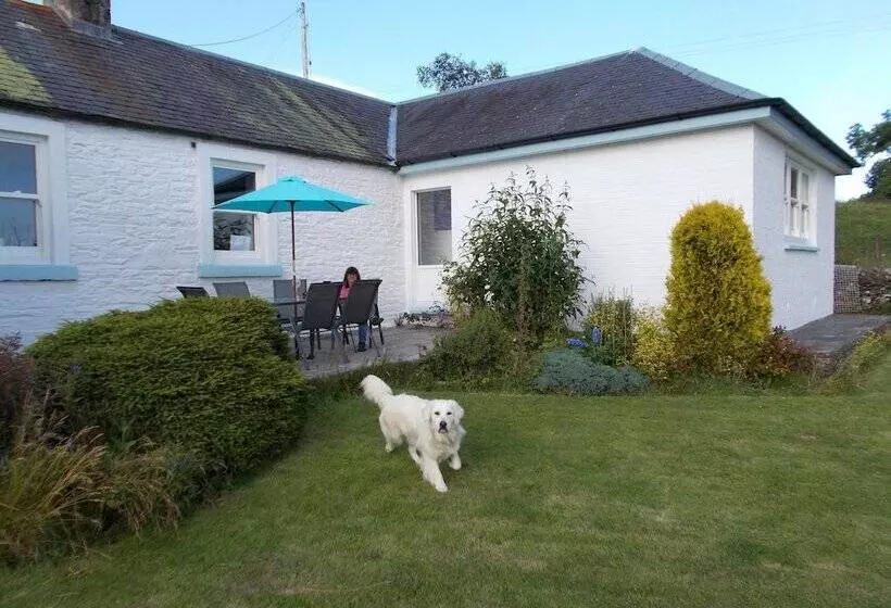 Aamiaismajoitus (B&B) Bluebell Bank