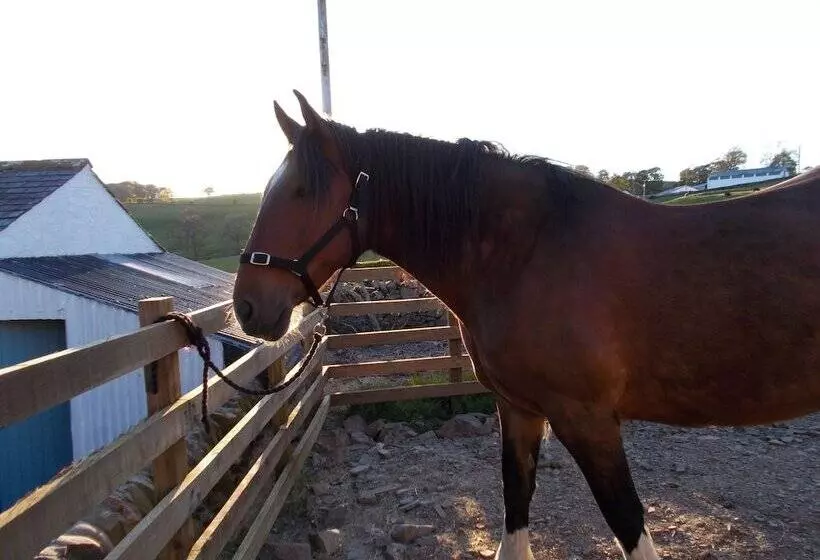 Aamiaismajoitus (B&B) Bluebell Bank