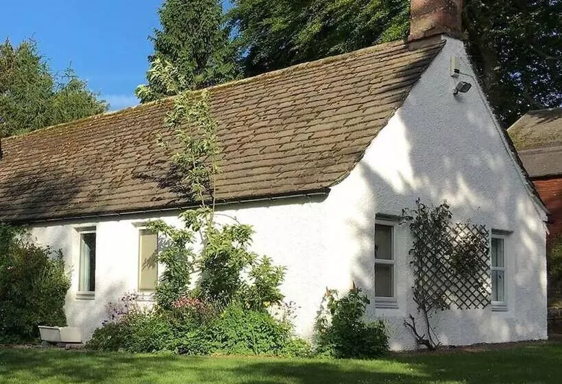 Aamiaismajoitus (B&B) Druminoch