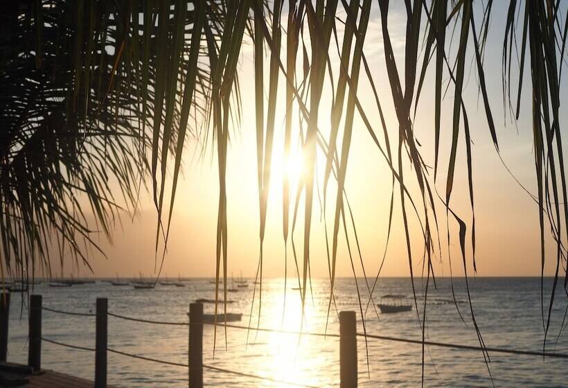 בית מלון כפרי Maisha Nungwi