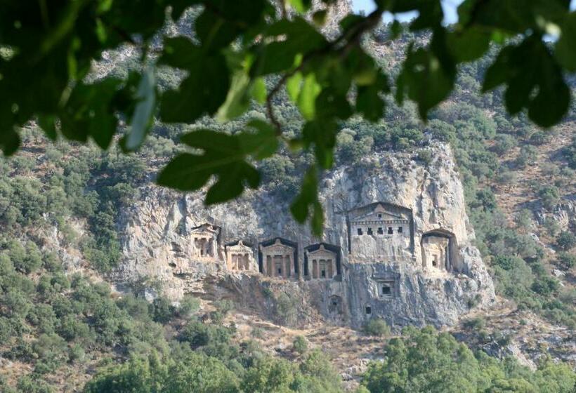 בית מלון כפרי Midas Pension