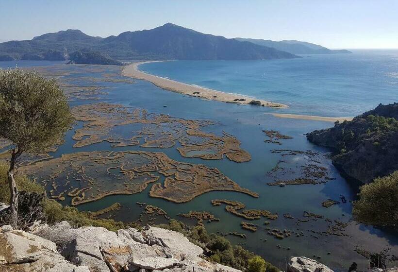 בית מלון כפרי Midas Pension