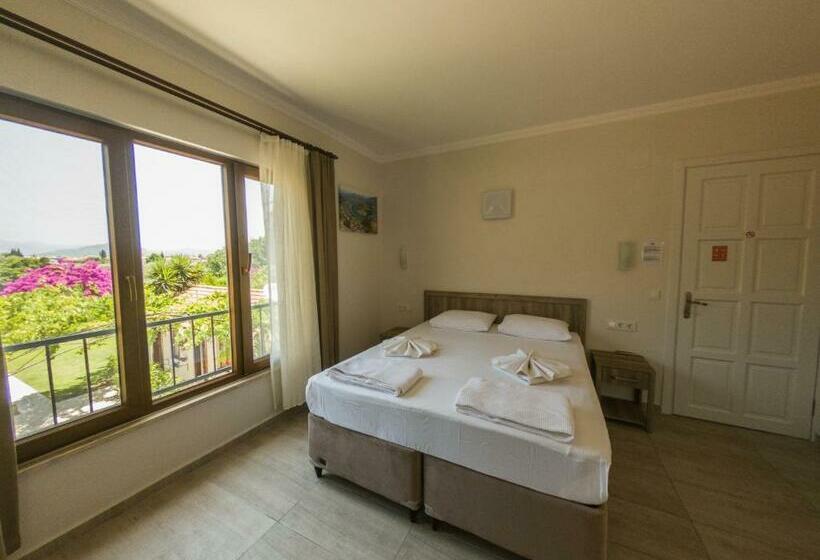 בית מלון כפרי Midas Pension