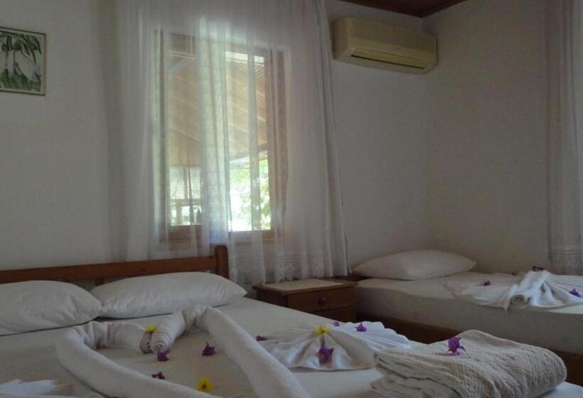 בית מלון כפרי Midas Pension