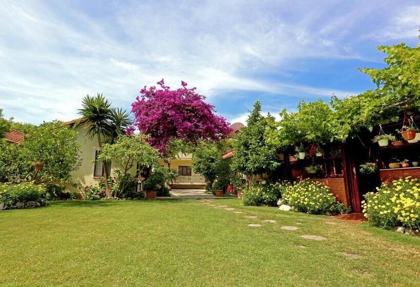 בית מלון כפרי Midas Pension