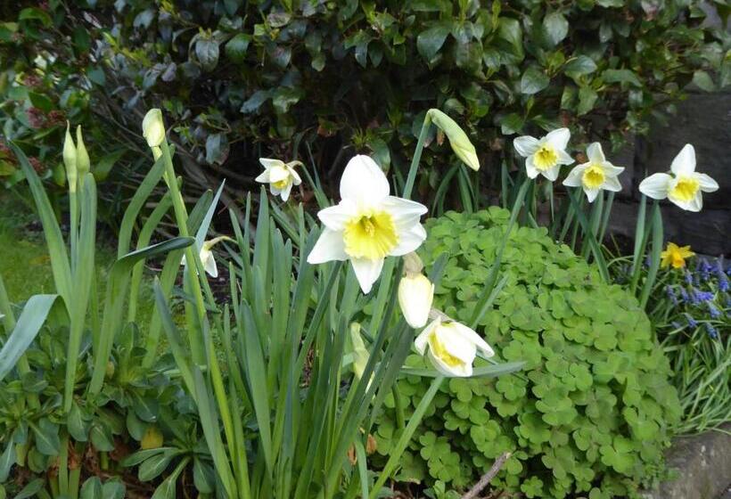 Pansiyon The Grange Guest House