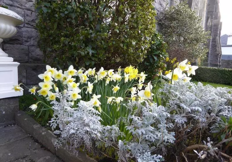 Majatalo The Grange Guest House