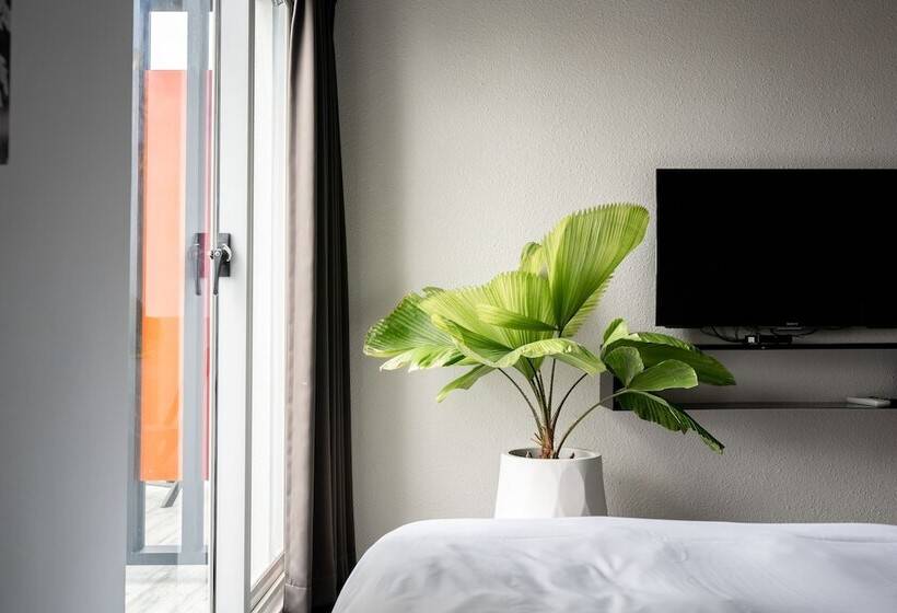 تختخواب و صبحانه Color Coral Boutique