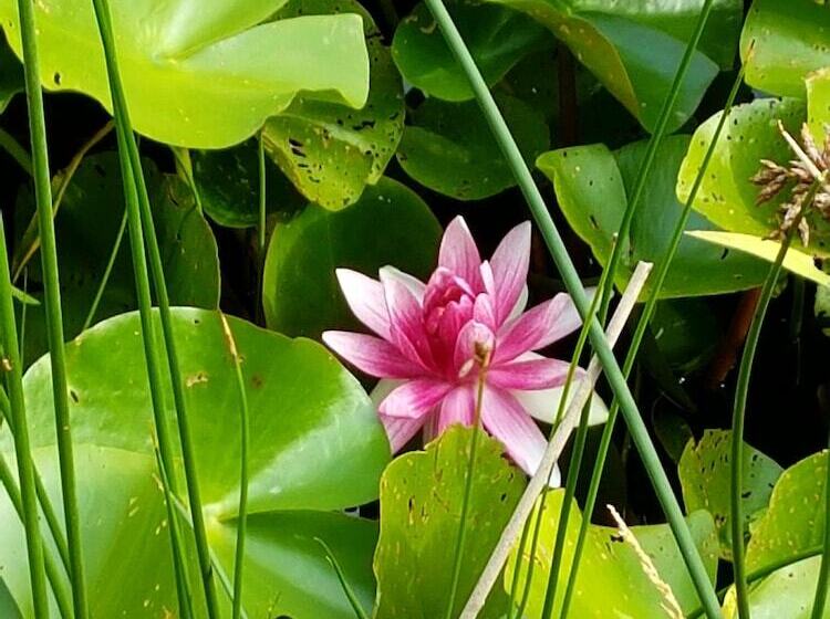 Отель Gh Vacances