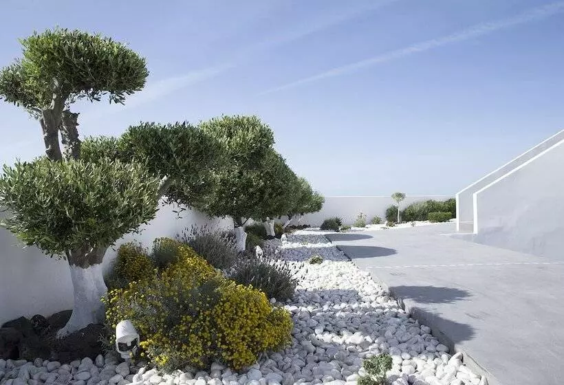 هتل Pasithea Suites