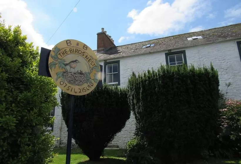 The Birds Nest B&b