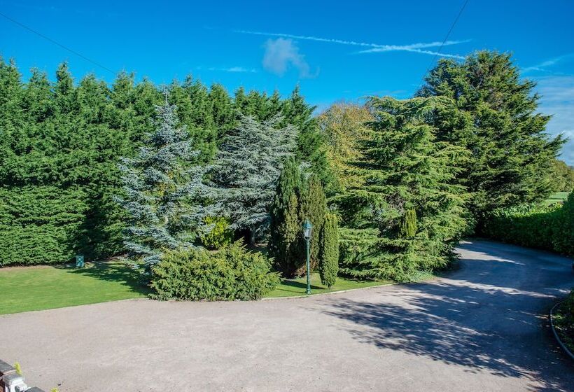 Bed and Breakfast The Grange Boutique Guest House