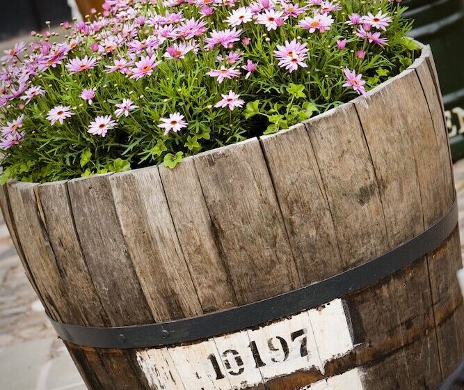 فندق فئة نجمة واحدة The Carden Arms