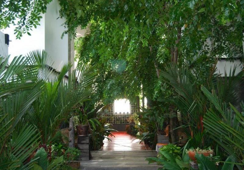 Hotel Papa Monkey Resort