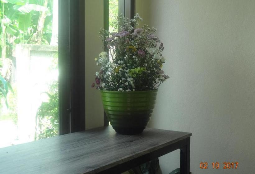 פנסיון Sarabu Guest House